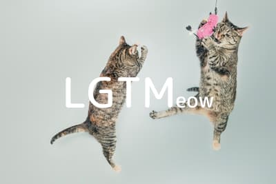 lgtm-cat-image