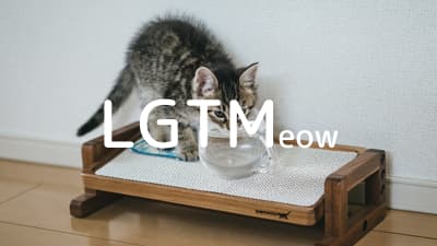 lgtm-cat-image