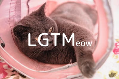 lgtm-cat-image