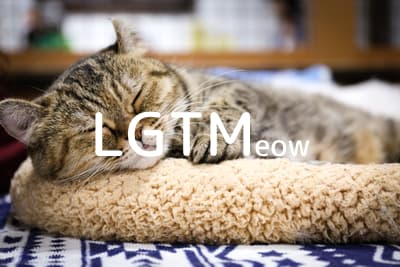 lgtm-cat-image
