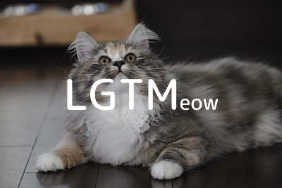 lgtm-cat-image