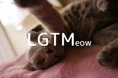 lgtm-cat-image