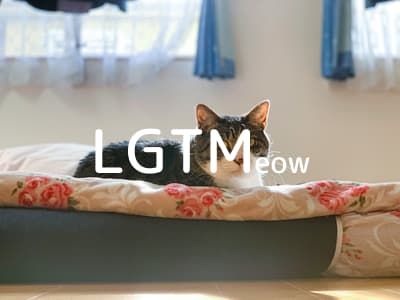 lgtm-cat-image