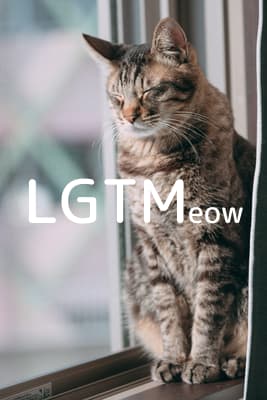 lgtm-cat-image