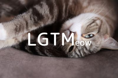 lgtm-cat-image