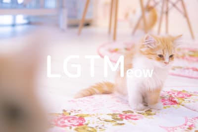 lgtm-cat-image
