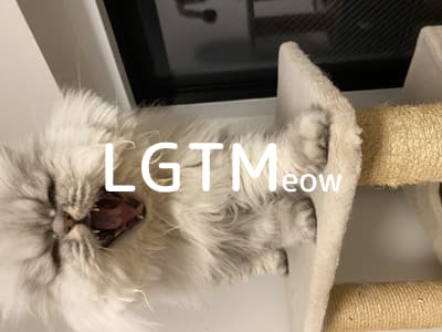 lgtm-cat-image
