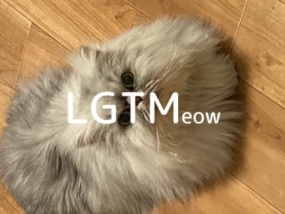 lgtm-cat-image