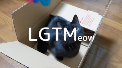 lgtm-cat-image