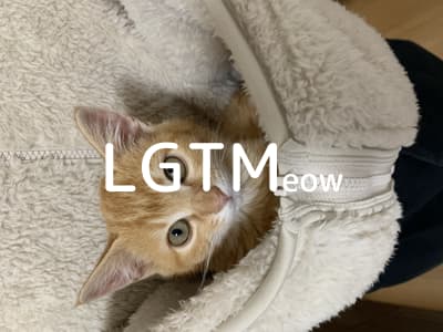 lgtm-cat-image