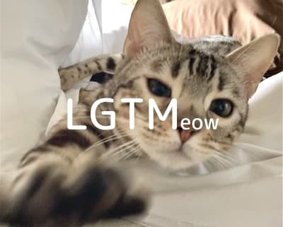 lgtm-cat-image