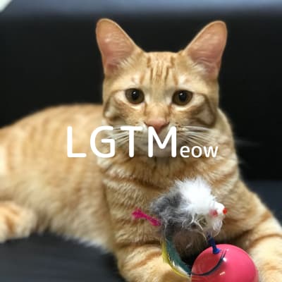 lgtm-cat-image