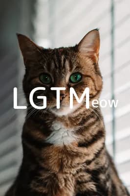 LGTM image