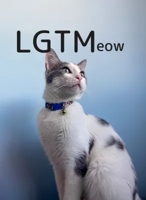 LGTM image