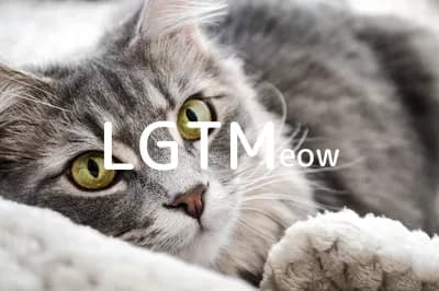 LGTM image
