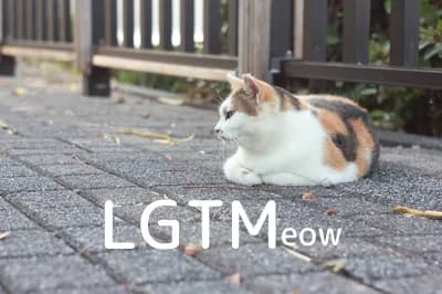 LGTM image
