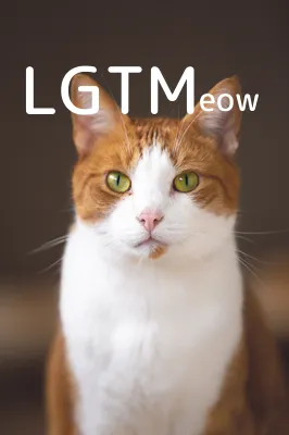 LGTM image