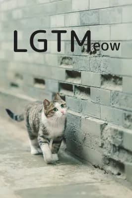 LGTM image