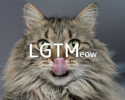 lgtm-cat-image