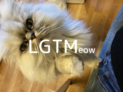 lgtm-cat-image