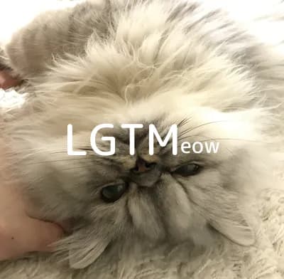 LGTM image