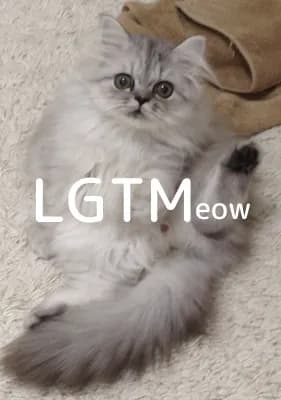 LGTM image