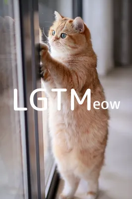LGTM image