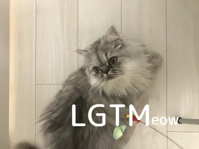 lgtm-cat-image