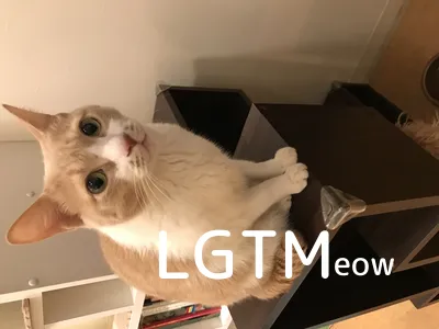 LGTM image
