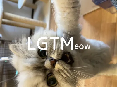 LGTM image