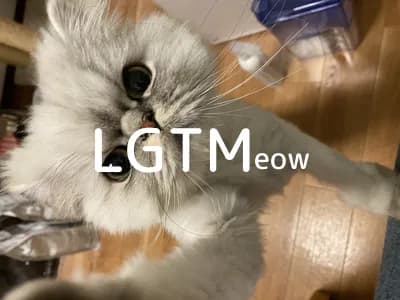 LGTM image