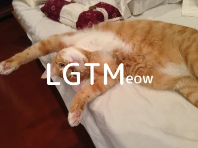 LGTM image