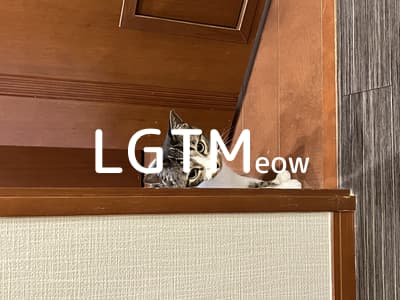 LGTM image
