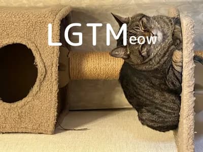 LGTM image