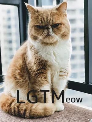 LGTM image