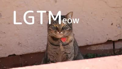 LGTM image