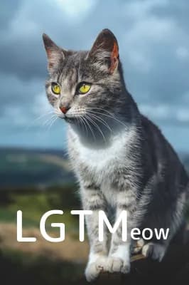 LGTM image