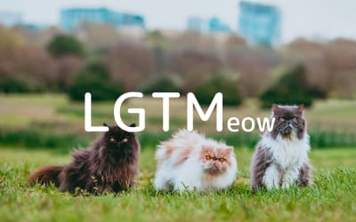LGTM image