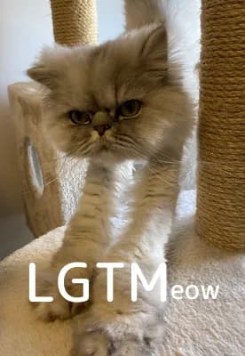 LGTM image