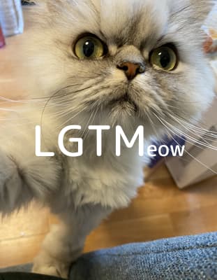 lgtm-cat-image