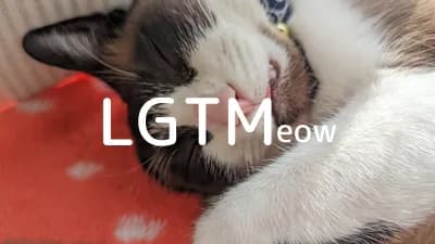 LGTM image