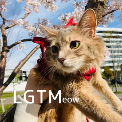 LGTM image