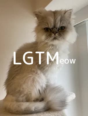 LGTM image