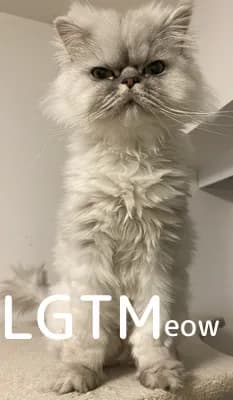 LGTM image