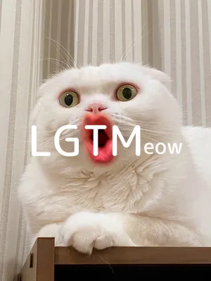 LGTM image