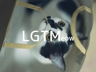 LGTM image