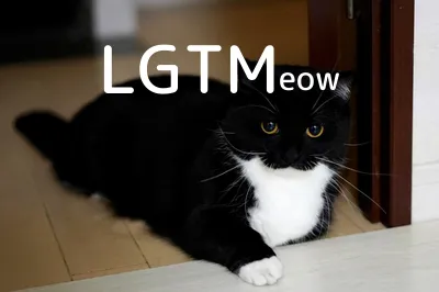 LGTM image