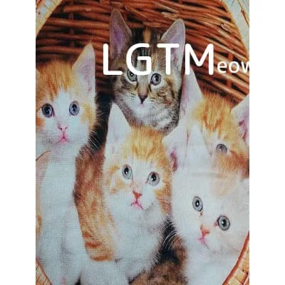 LGTM image
