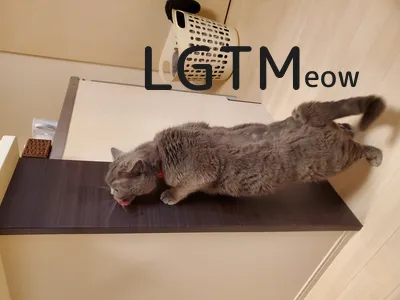LGTM image