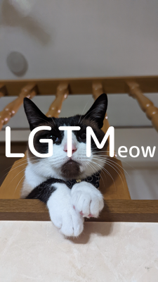 lgtm-cat-image